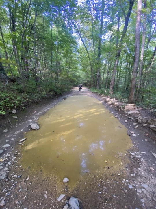 Puddle Patrol on a roll
