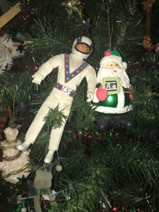 Knievel on the shelf
