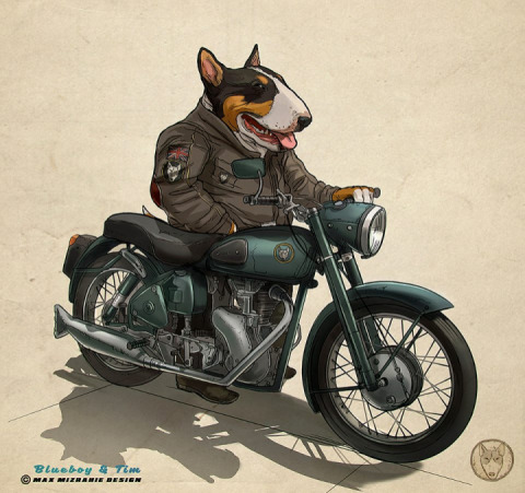 Bull terriers-bikers