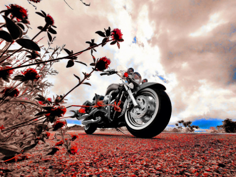 CRUISE true LIFE & Enjoy the Ride ... #Gallega