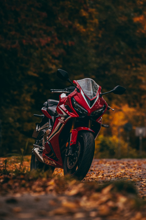 Langsam aber sicher kommt der Herbst ???️