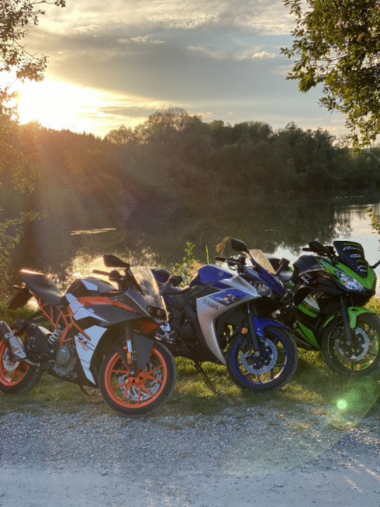 Welche würdet ihr nehmen ?