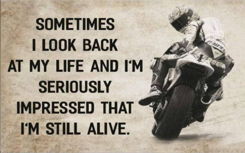 You only live once ?