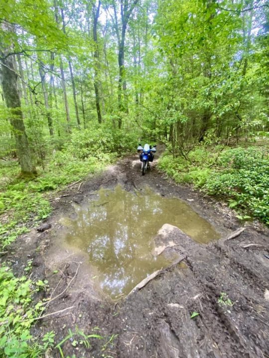 Medium on the moisture meter