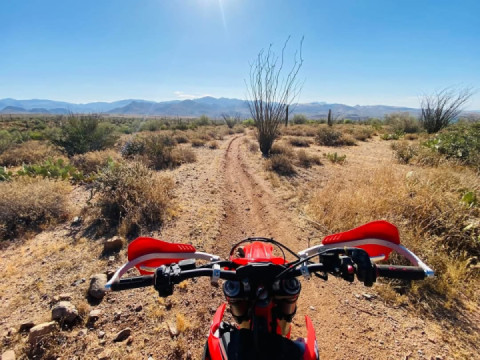 Great morning ride. Bonus material - found new trails