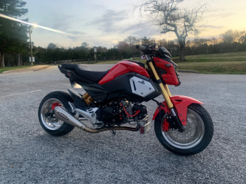 Went for a ride today. GromLyfe!!!