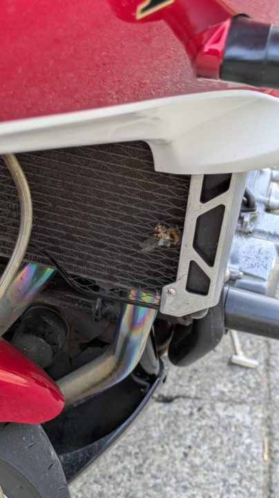 Nine days off. I probably only rode it once (lol). By the way, the third picture is pretty gross 