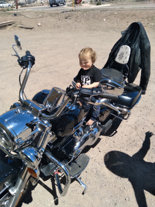 Couldn't talk him out of it...