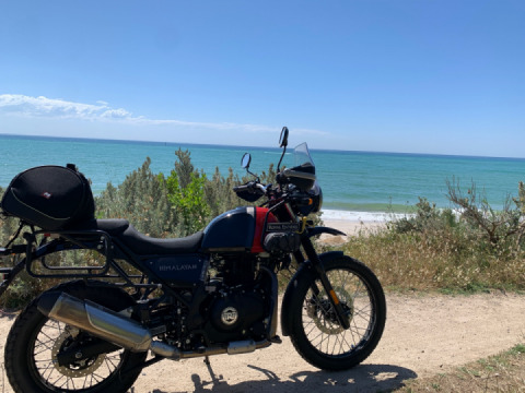 Got them beach vibes so went for a trip down to rosebud