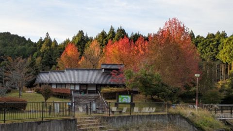 Great ride today. Temperature: 11℃ ☺️👍