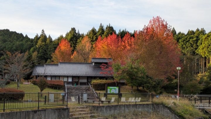 Great ride today. Temperature: 11℃ ☺️