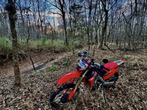 Beautiful ride into the night. Almost doubled the trail. Needs Triming 