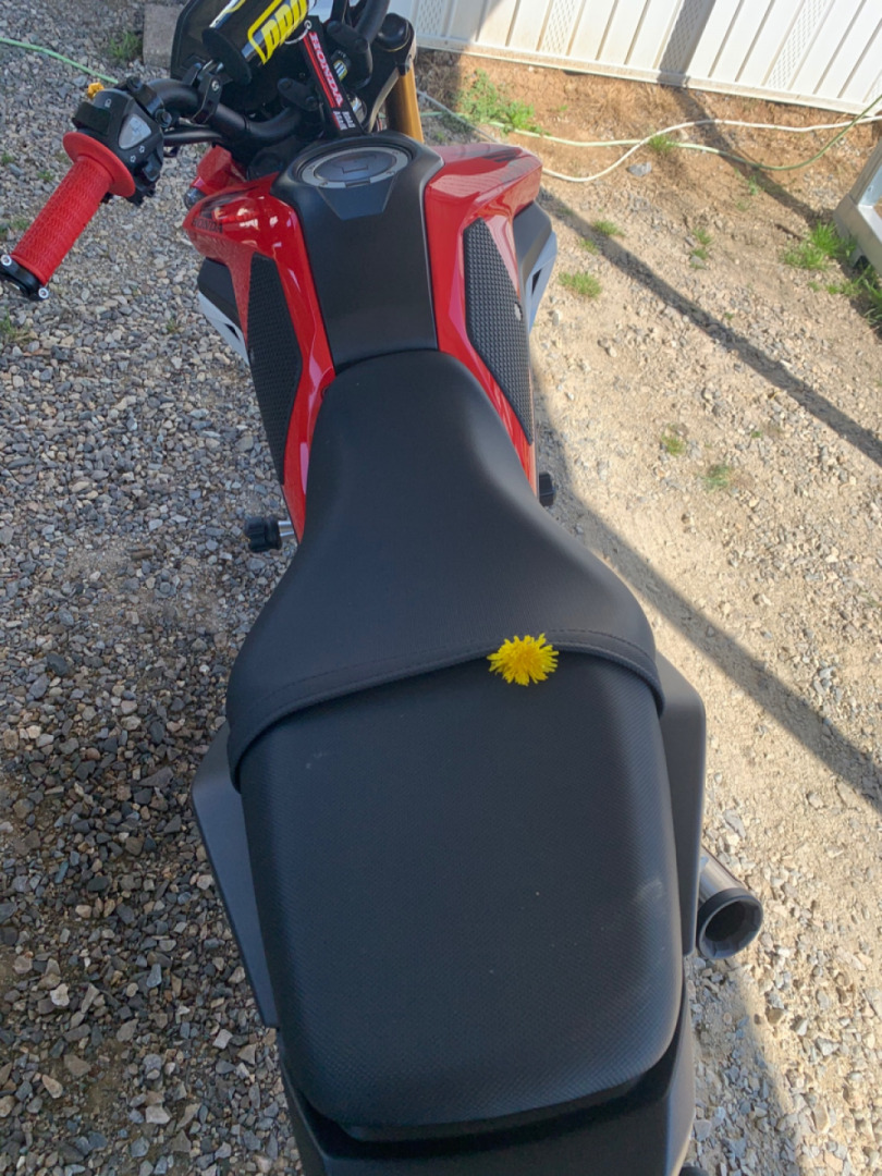 My daughter left me a flower on bike