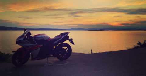 Hello world! I'm new here?