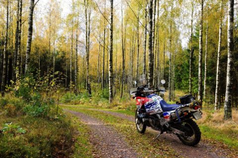 Today in southern Sweden 