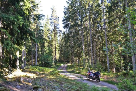 Riding southern Sweden (Småland county) 