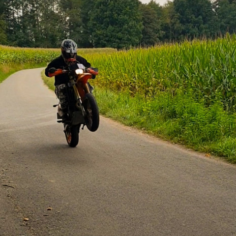 Wheelie progress started