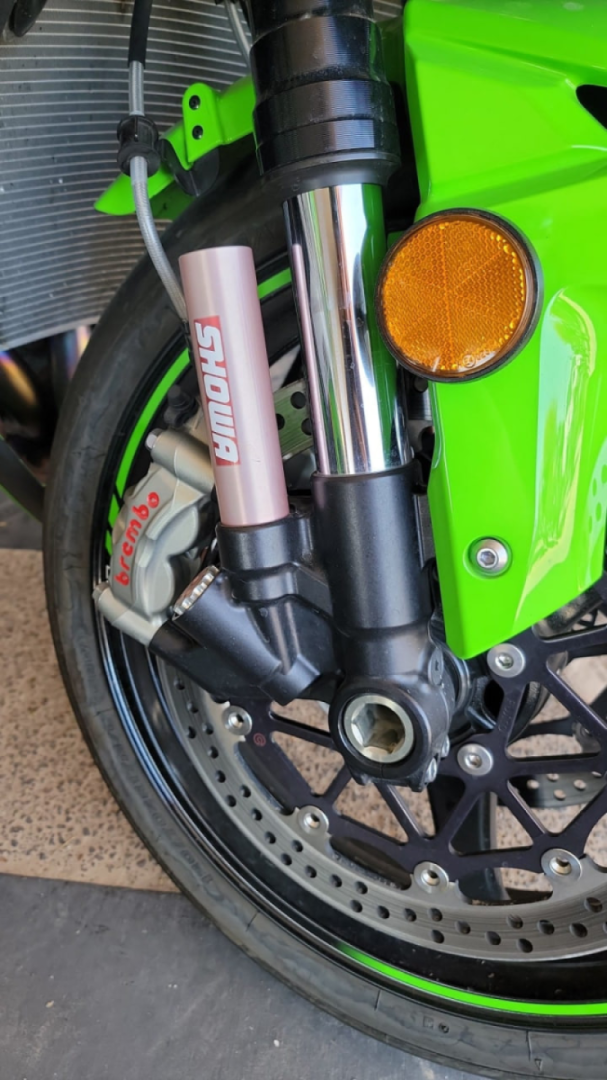 Looking at a 2014 ZX10R. Is there a reason why these are pink?