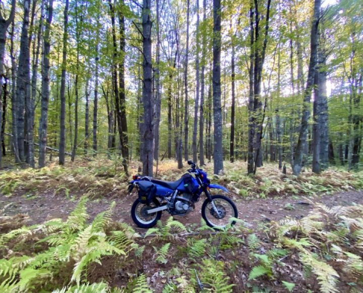 New 2 trails again