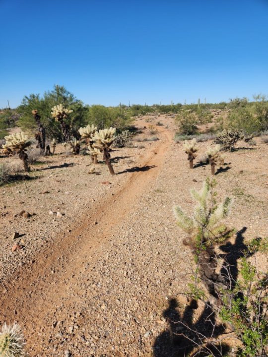 Good conditions, cool, light breeze slightly dusty. Great Ride = Great Day 👍