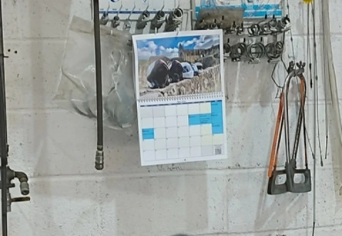 The joy of owning a 1990s motorcycle