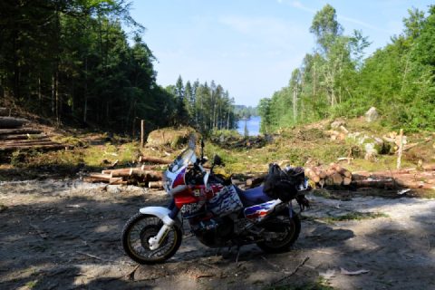 Snapshots from today 