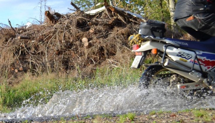 Trailing in Sweden 