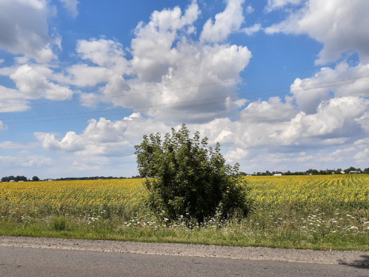 Route 07, Kharkov-Kupyansk. Nice weather & road. Beautiful nature in Ukraine.