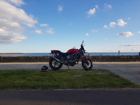 Nice day at the beach today.