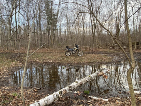 Hawkes, slop and roll