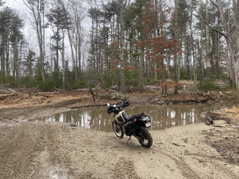 Riding the gravy train