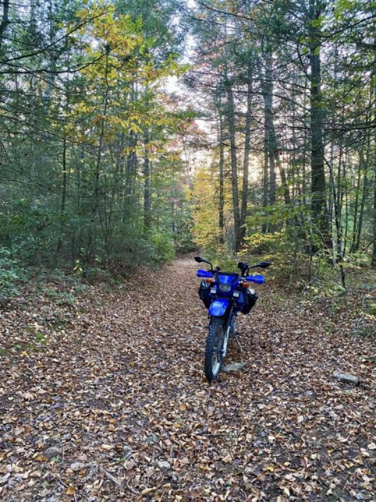 Pole Bridge Rd and trail to a Nudist Colony
