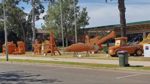 At Griffith Spring fest this month