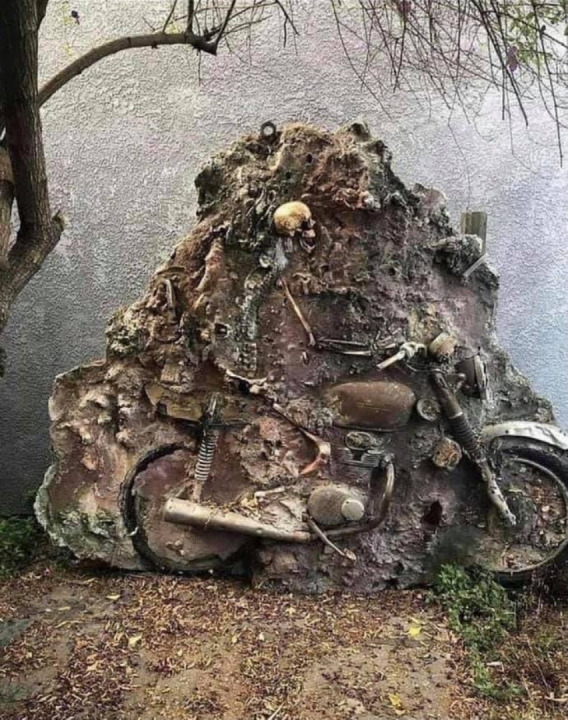 Don’t know if this is real or not but pretty rad nonetheless.