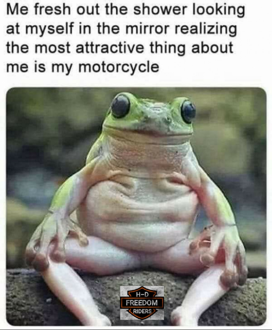 Motorcyclist Problems