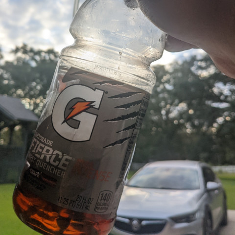 Afternoon peanut run