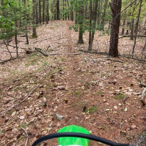 It already feels like autumn