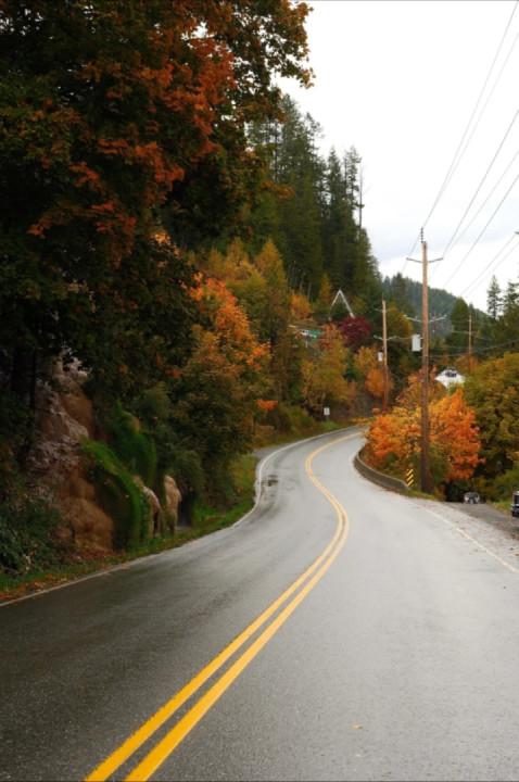 Ainsworth, October Road