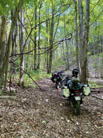 Exploring Rowe, MA trails and experiencing a favorite sketchy bridge.