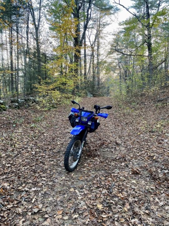 Pole Bridge Rd and trail to a Nudist Colony