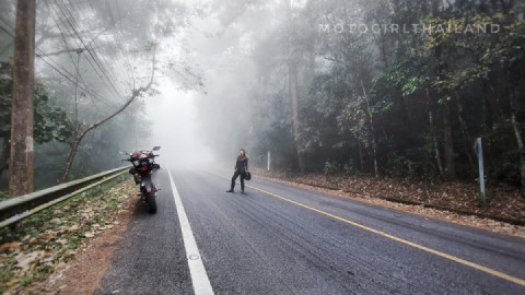 Misty morning ride...