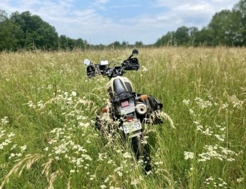 Any way the wind blows