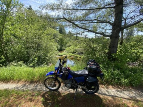 Wonderful Forest Road 71