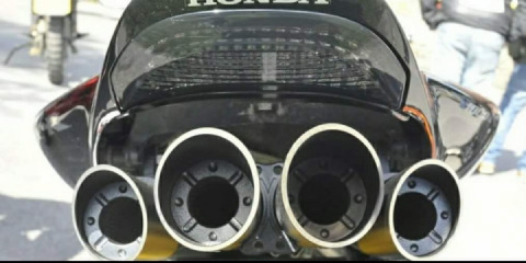 That is a sexy rear , show me yours ?