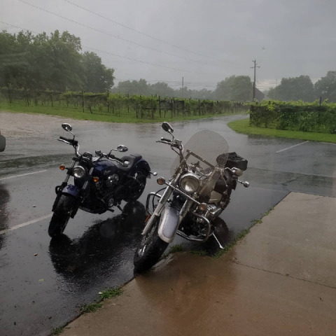 Thunderstorm last weekend, tree fell and blocked the road so we had to stop at a winery (oh darn ?)