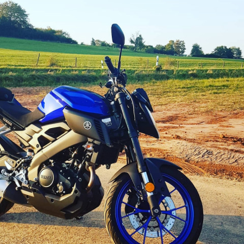 Missing Summer already?