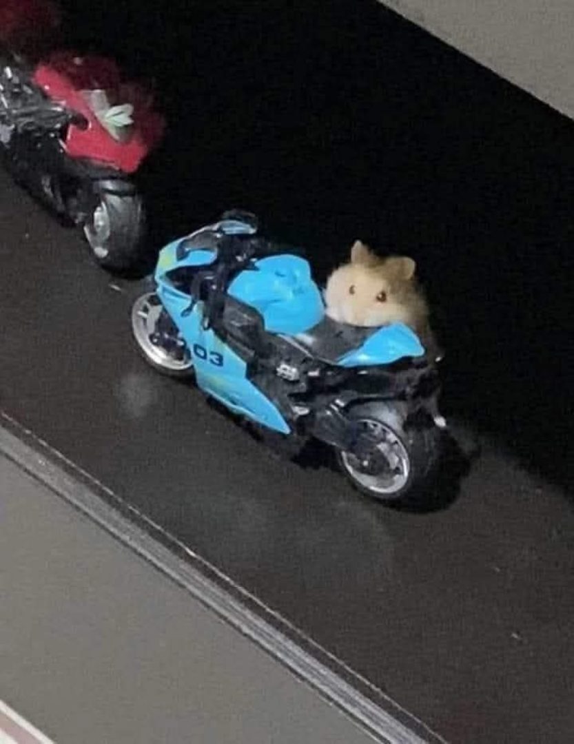 God doesn't give me a high-displacement motorcycle..