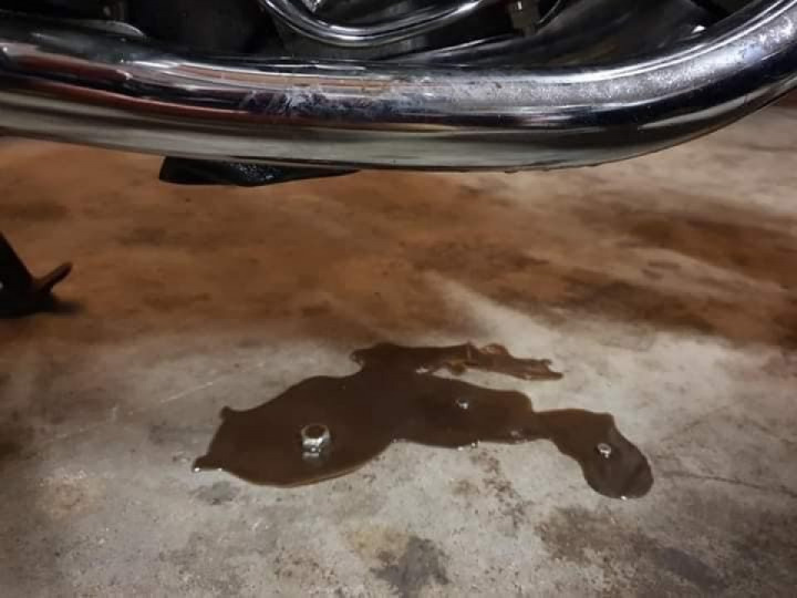 Oh this is top level trolling material. ?