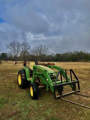 The Red Clay Stray got to play!The rain didn’t ruin my day. Got to help my Nieghbor too.