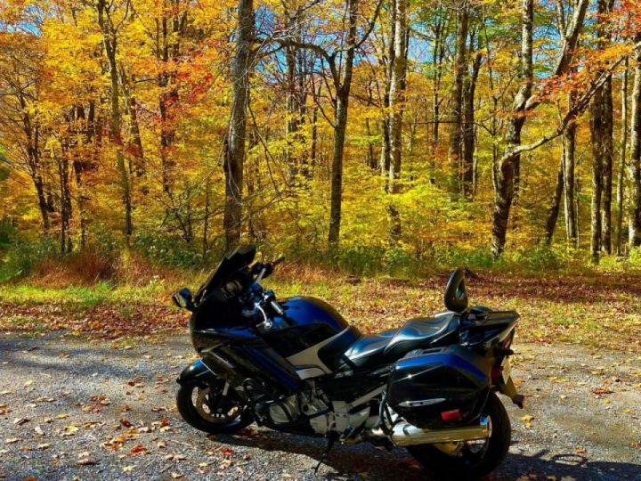 Autumn ride